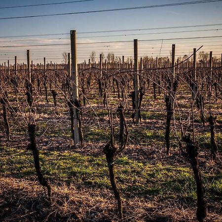 Agriturismo Il Casone Zoppola Eksteriør billede
